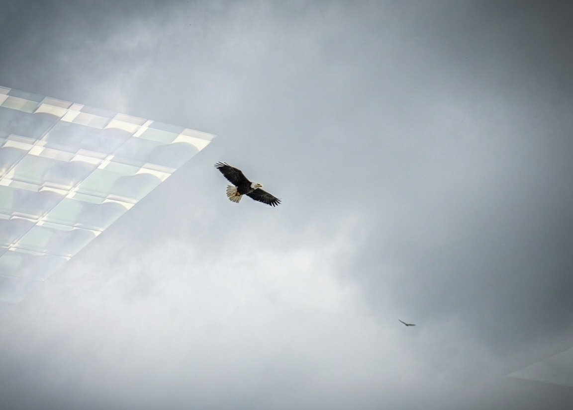 Chris Easley tweet media