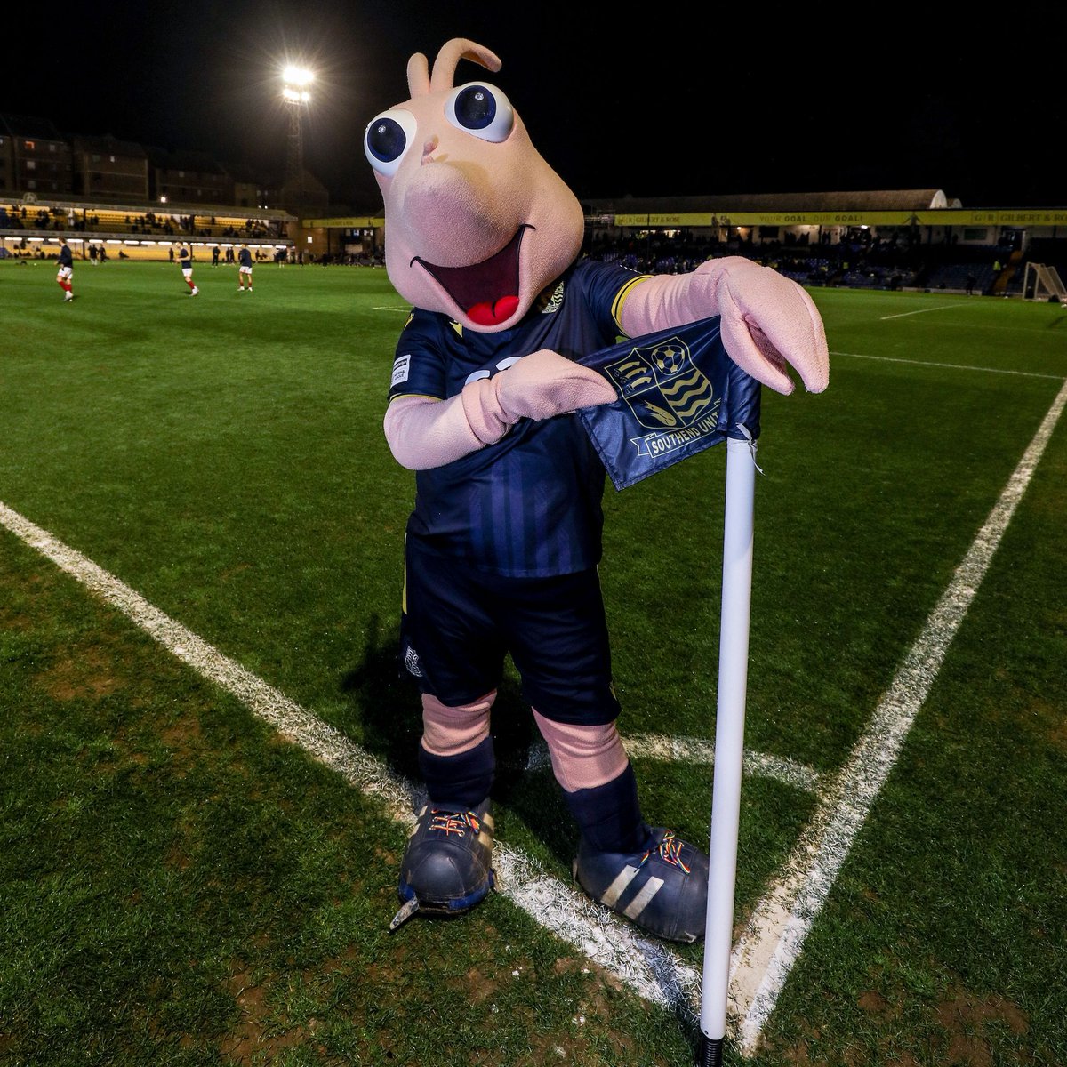 Sammy the Shrimp tweet media