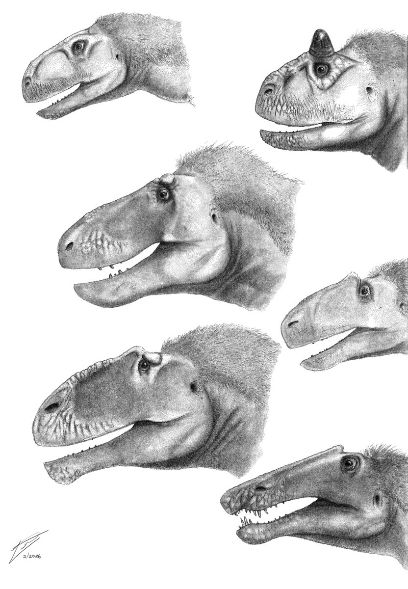 Hugo Valdez tweet media