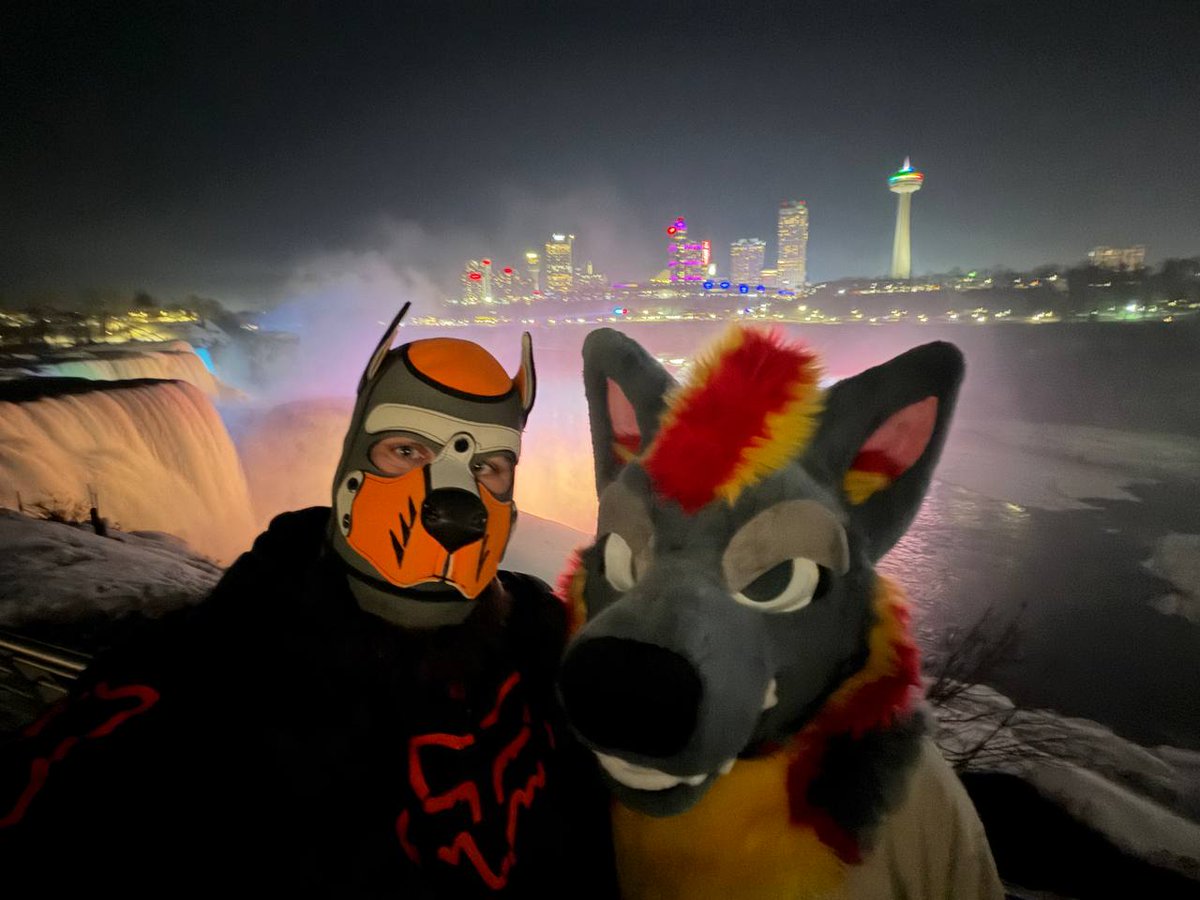 Ash 🦊 🧡❤️💙 tweet media