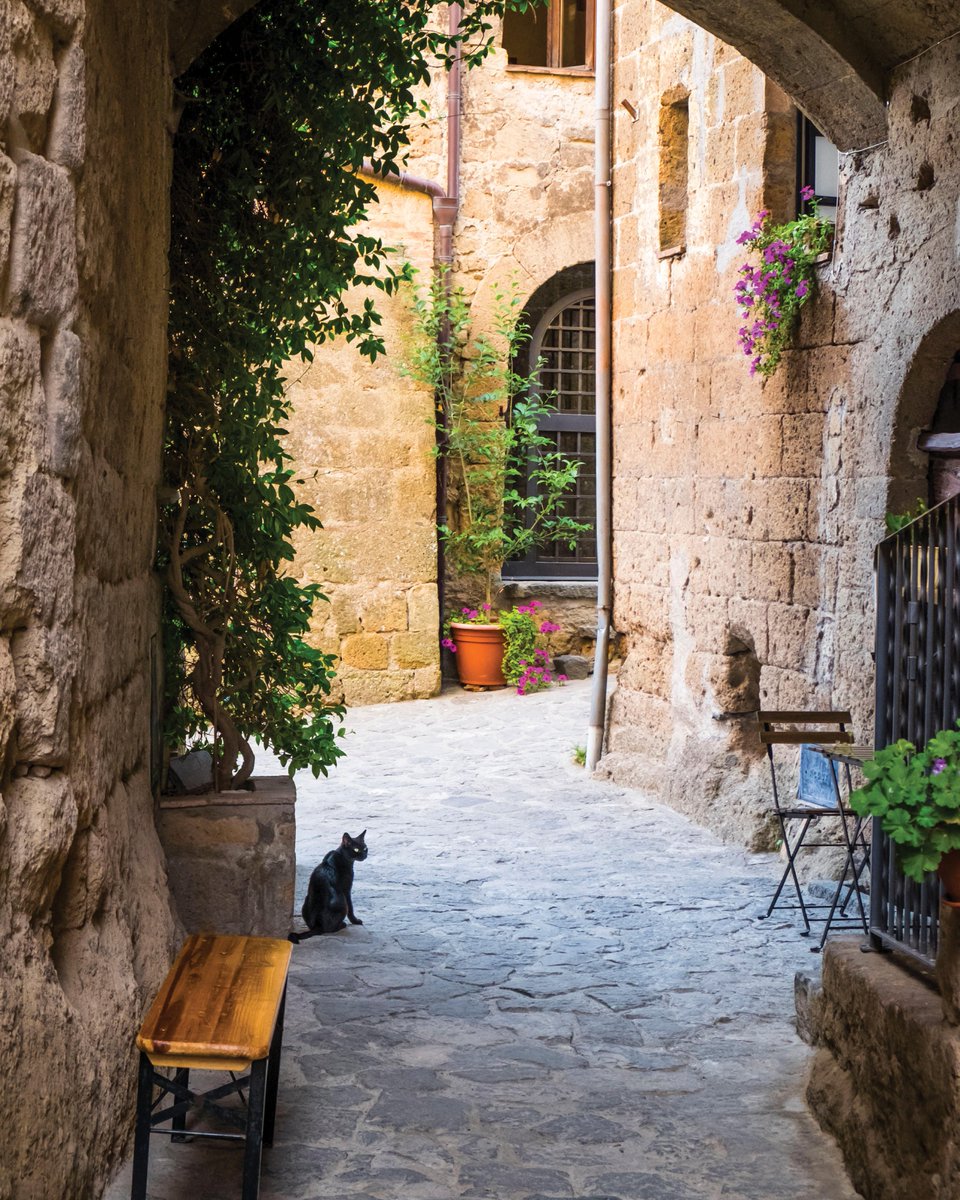 Corneliani tweet media