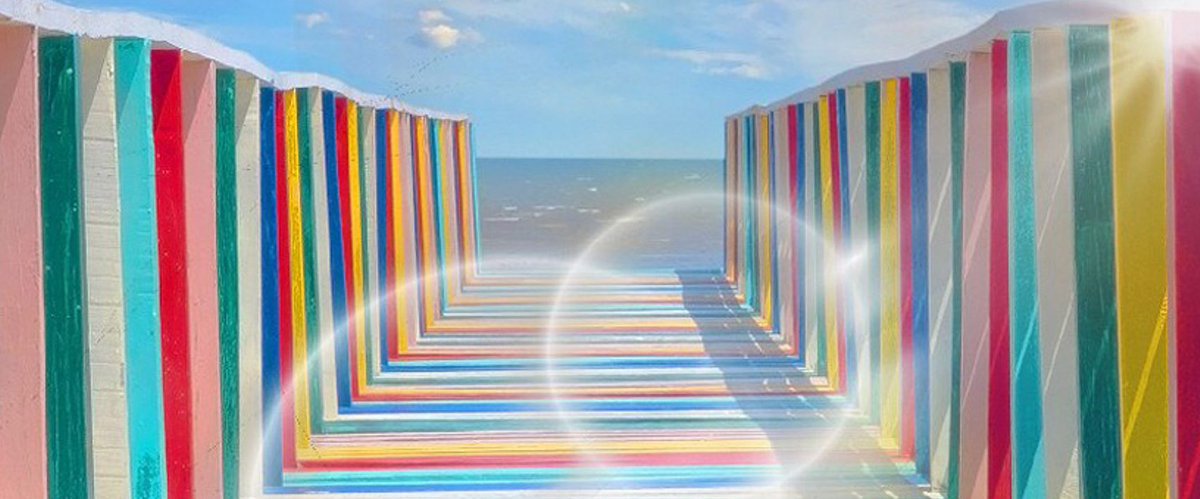 Denise Federer Ph.D. tweet media