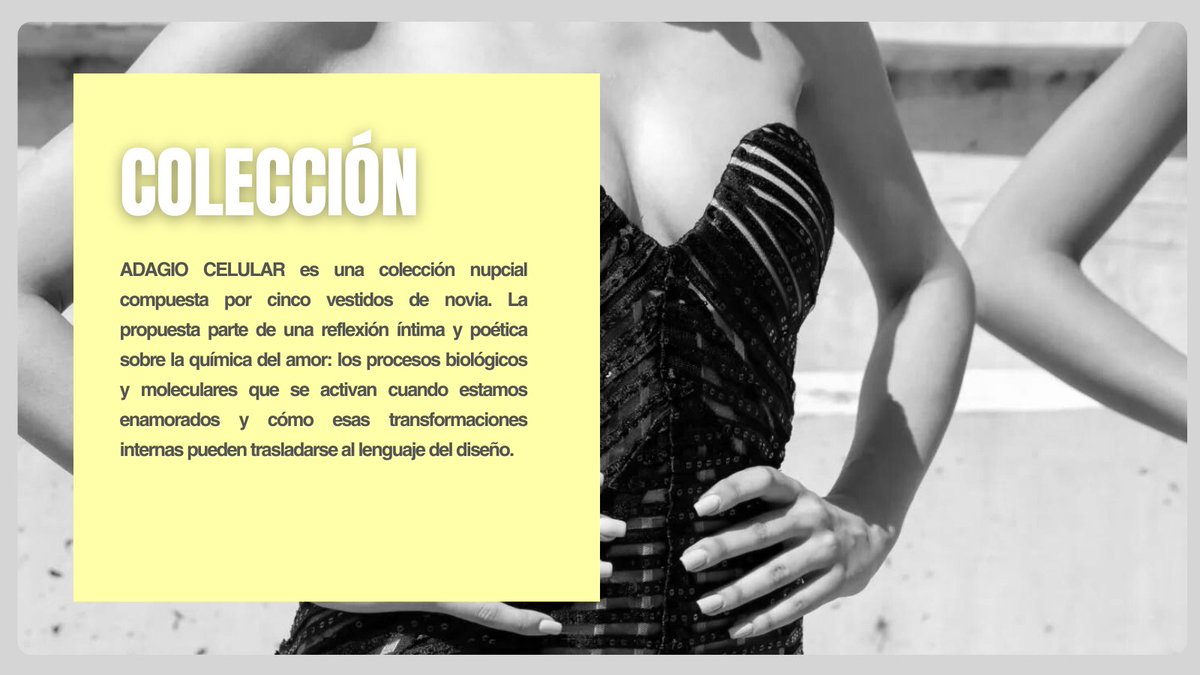 uniendomoda_cyl's tweet image. El universo vibrante de My Lovely Pulpo viaja a #AtelierCouture2026 con su colección ADAGIO CELULAR, que reinterpreta a la novia clásica desde una mirada contemporánea. Siluetas ceñidas, volúmenes equilibrados y un guiño a los años 50. ✂️ @jcyl @ceoe_cyl 
#UniendoModaCyL #JCYL