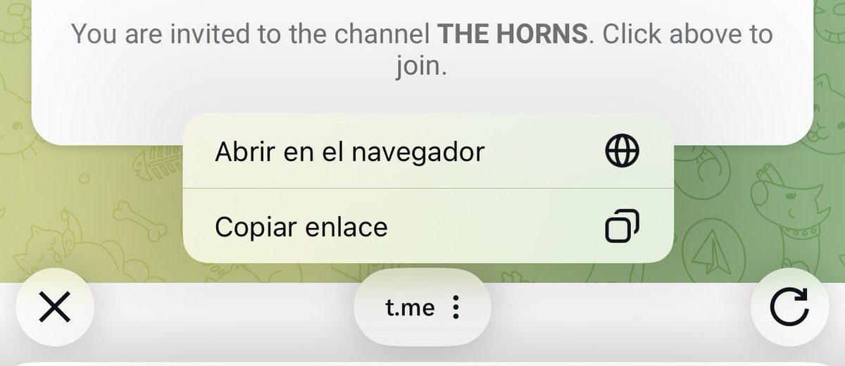 THEHORNS | Oficial 🎾 tweet media