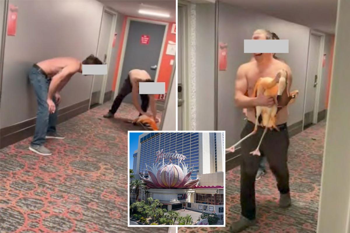 nypost's tweet photo. Brainless tourist steals flamingo from Vegas hotel, takes selfies while 'choking' it: cops https://t.co/TnhUYqmJs4 https://t.co/znpdbwQkM2