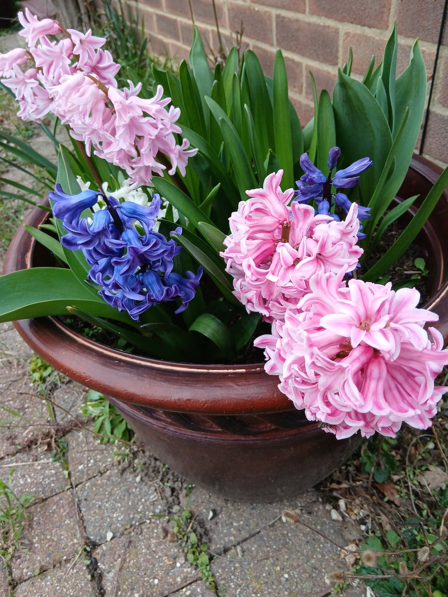 andrew barnard tweet media