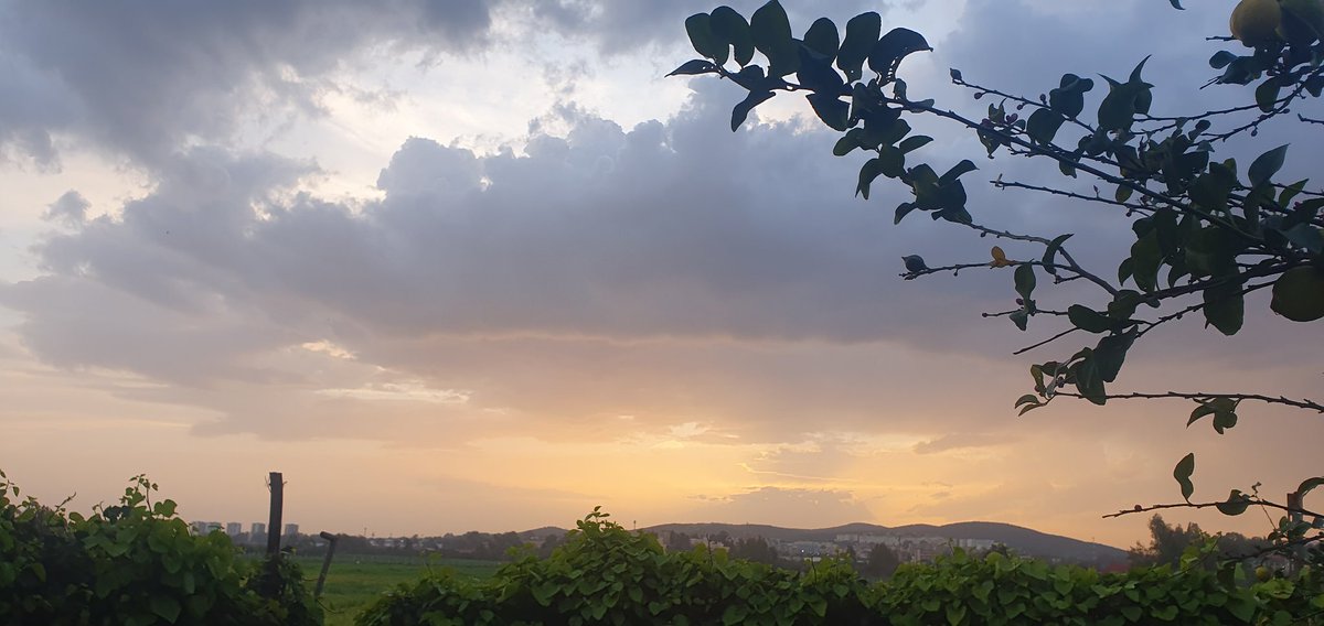 didi1789149's tweet image. #Randompics