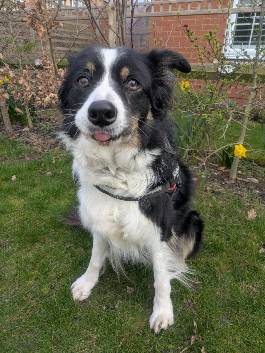 Lizzy Lou tweet media