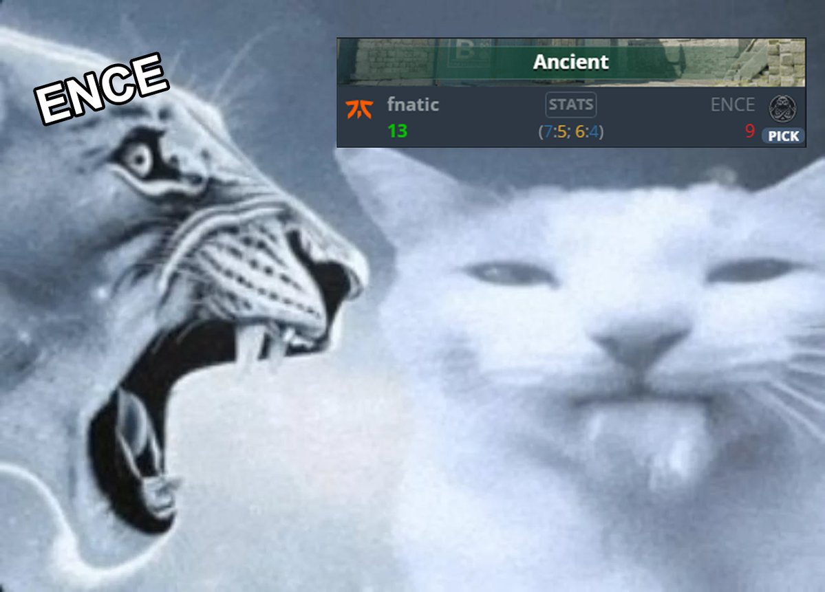 FNATIC CS tweet media