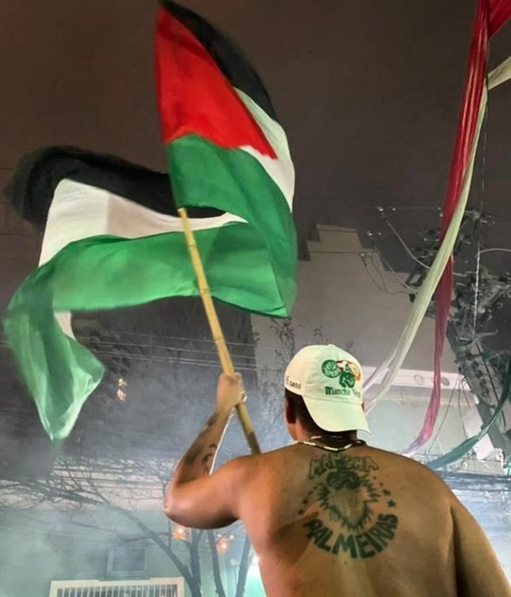 ultras_antifaa's tweet photo. SE Palmeiras, Brazil https://t.co/VT2grnjml9