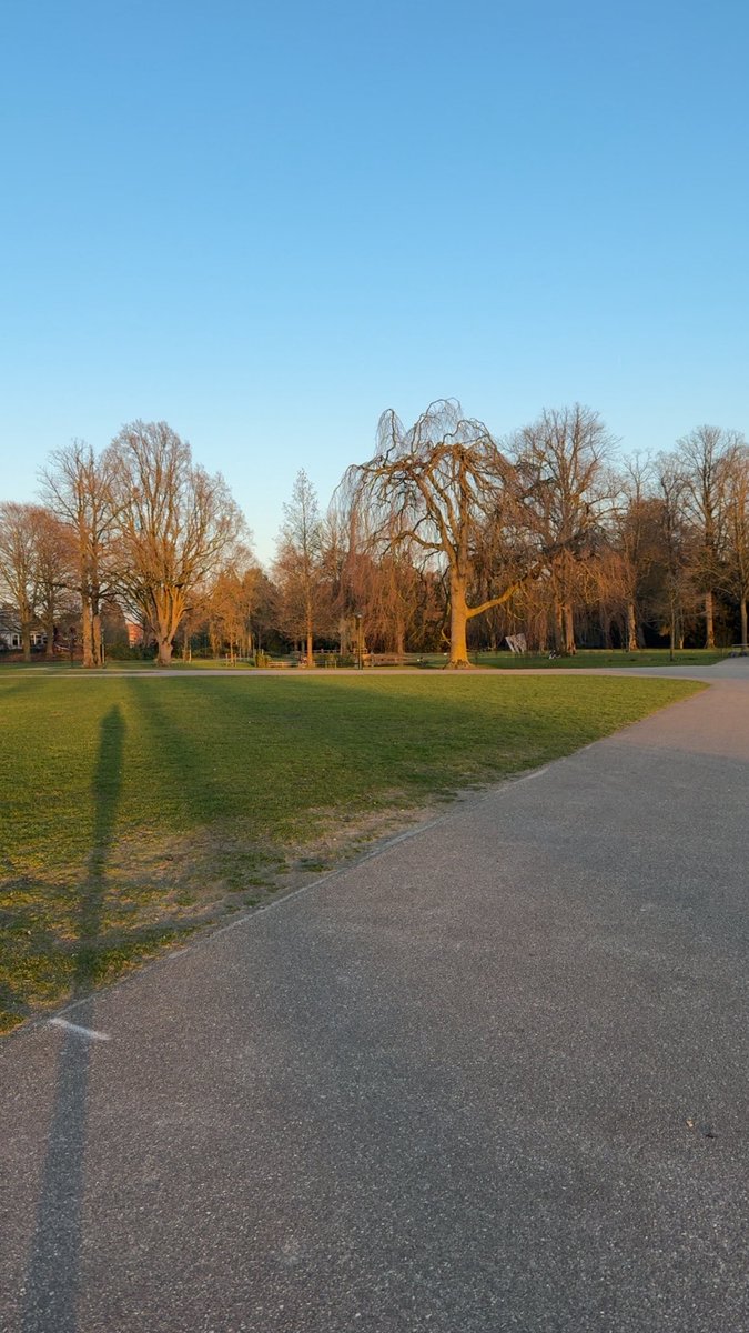 𝐎𝐜𝐭𝐨𝐛𝐞𝐫 ♞ tweet media