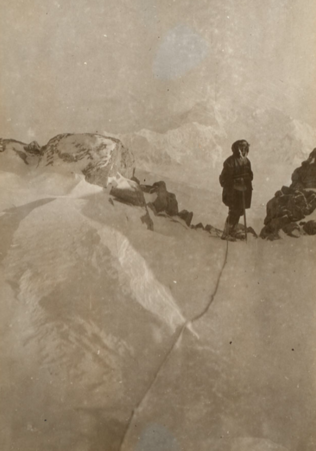 Gripped Climbing tweet media