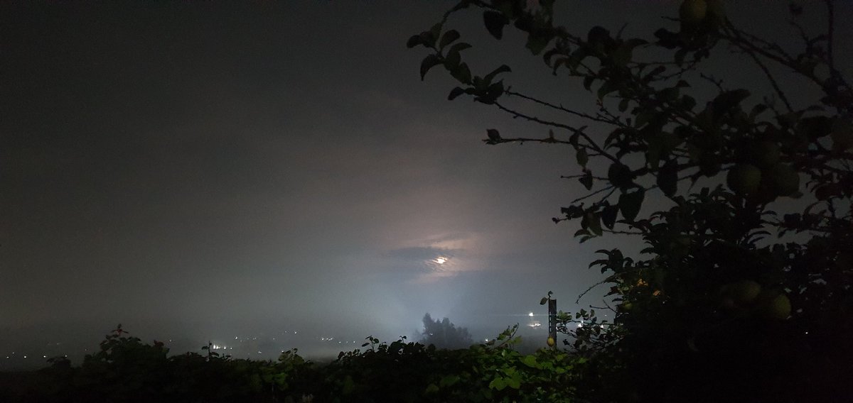 didi1789149's tweet image. #Randompics