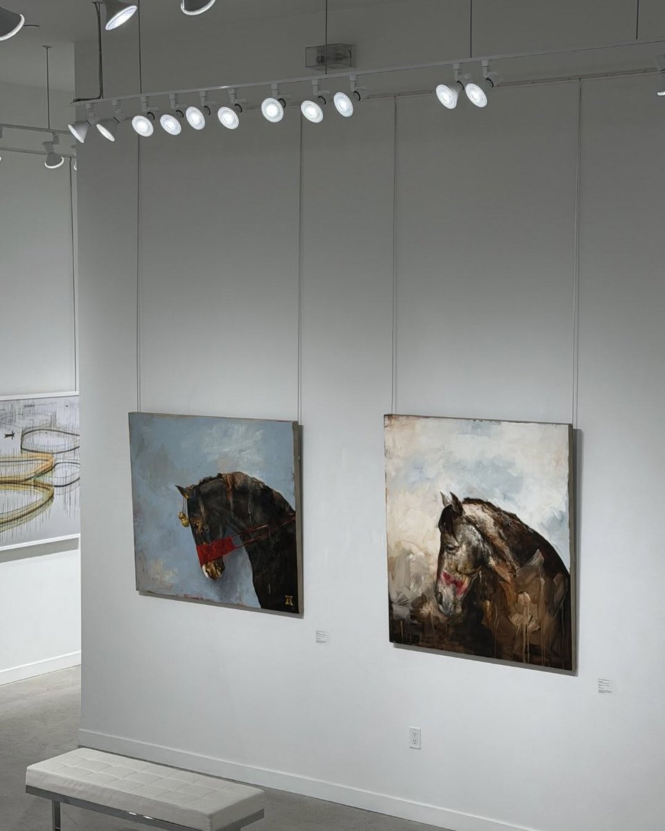 Natasha Koifman tweet media