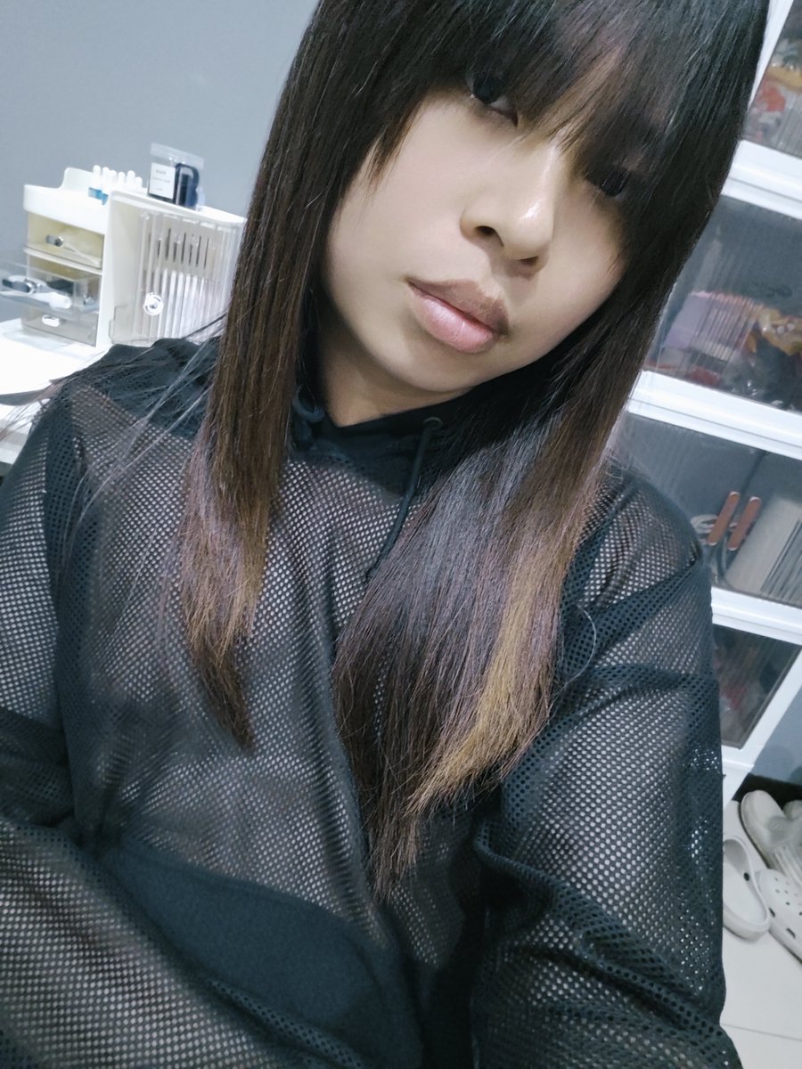 ✨畜子貓 tweet media