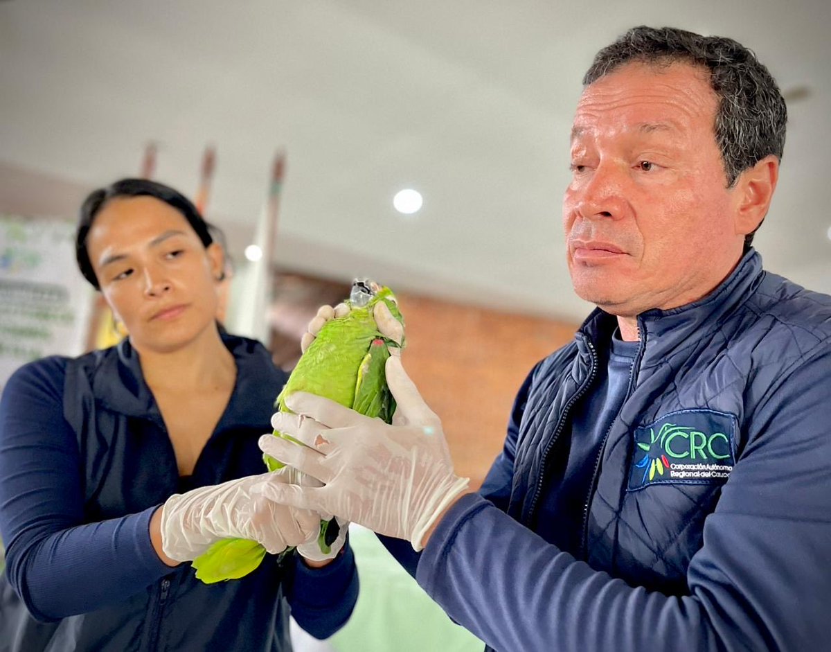 Corporación Autónoma Regional del Cauca CRC tweet media