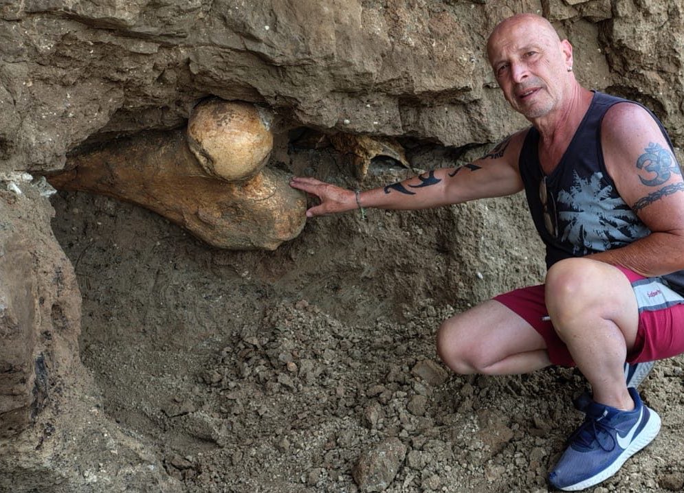 "Hallazgo"

Porque una pareja caminaba por Santa Clara del Mar, y encontraron un hueso gigante: tras una investigación del Museo de Ciencias Naturales de Mar del Plata, confirmaron que pertenecía a un megaperezoso que vivió hace 400.000 años.