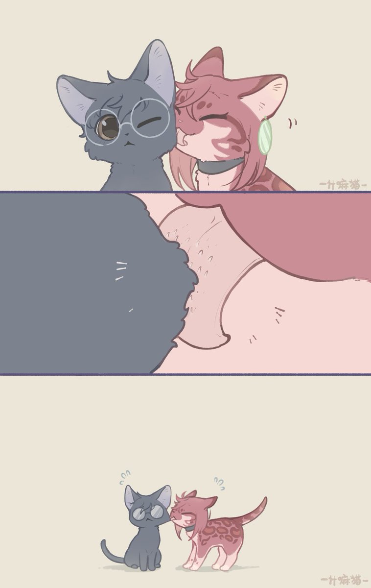 ミ何猫ミ tweet media