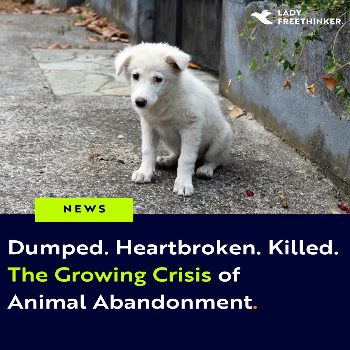 Lady Freethinker tweet media