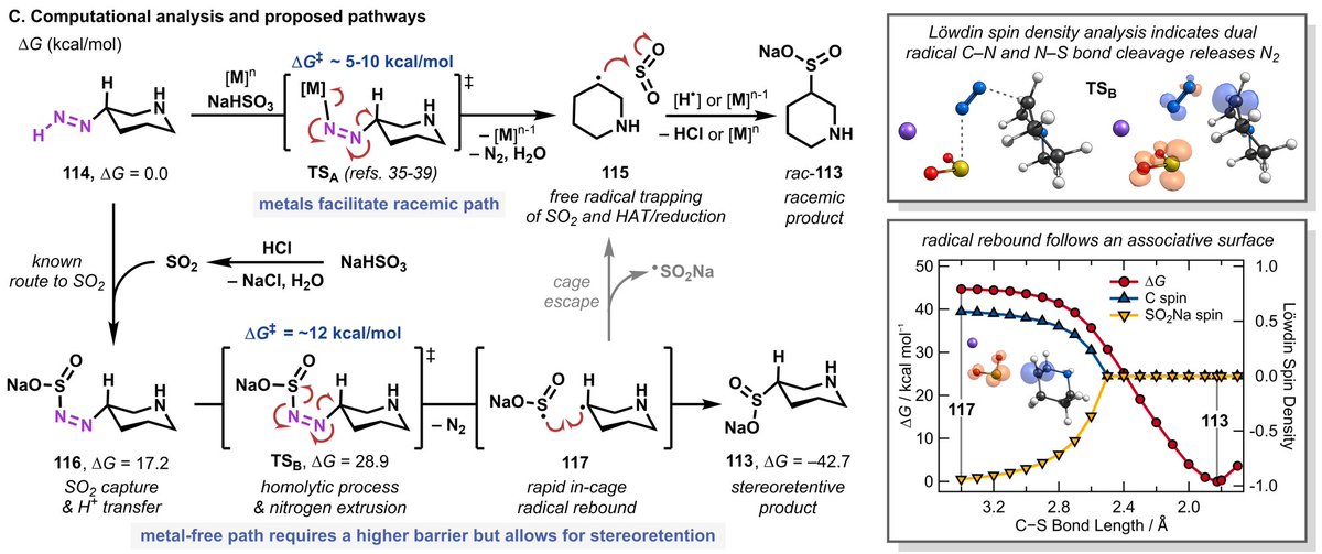 David Cagan tweet media