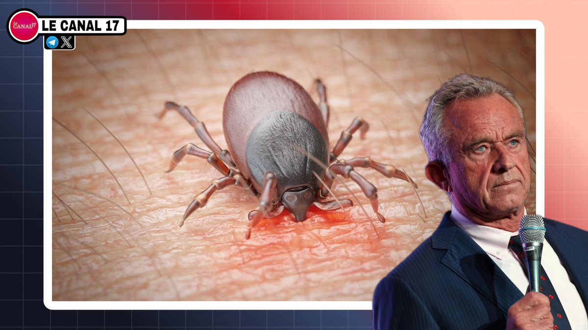 🦠💥 NEW : Le ministre de la santé Kennedy confirme sous serment que la maladie de Lyme est une arme biologique.