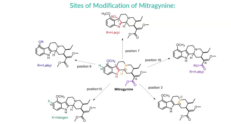 Cayman Chemical tweet media