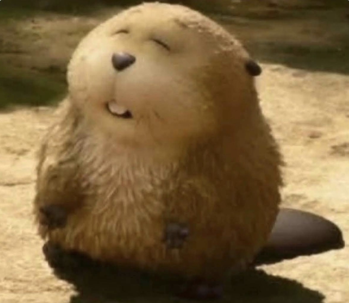 El Guarromántico tweet media