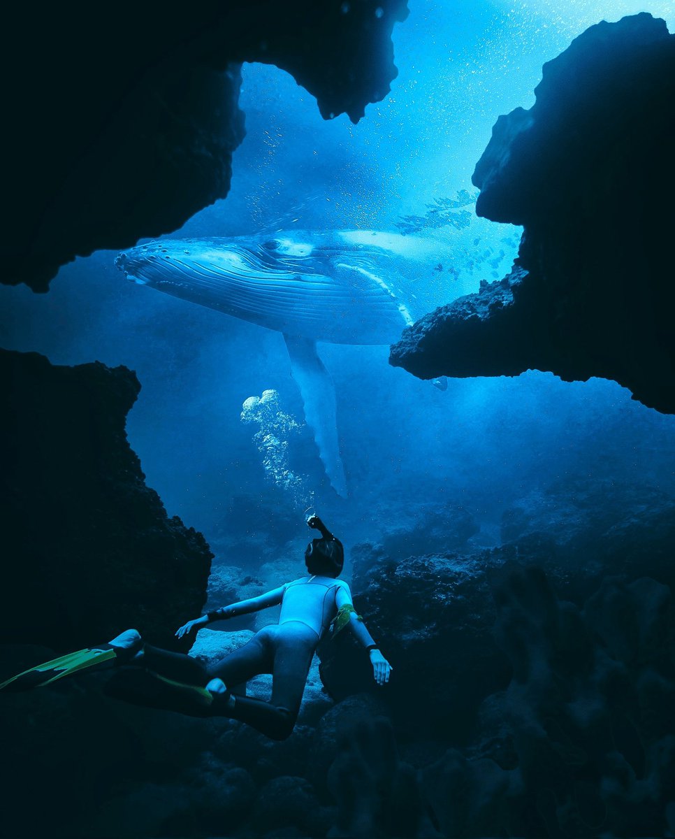 FireLørrd | Ian Maina tweet media