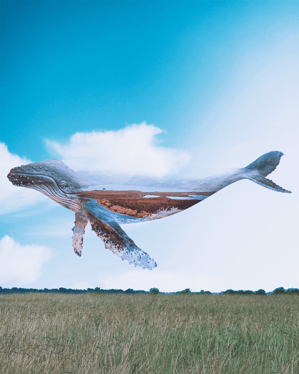 FireLørrd | Ian Maina tweet media