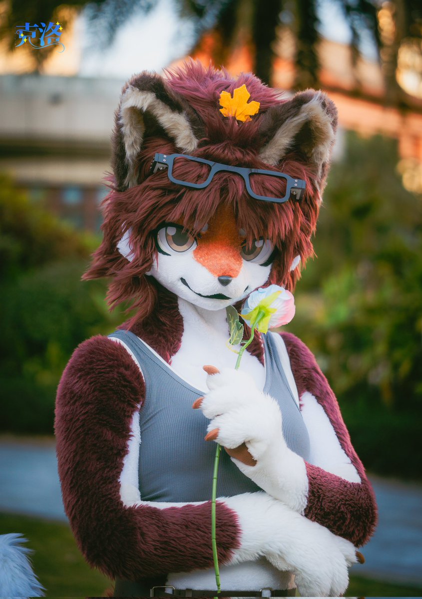 祈橘 ききつ🍁🦊➡️JMOF2026 tweet media