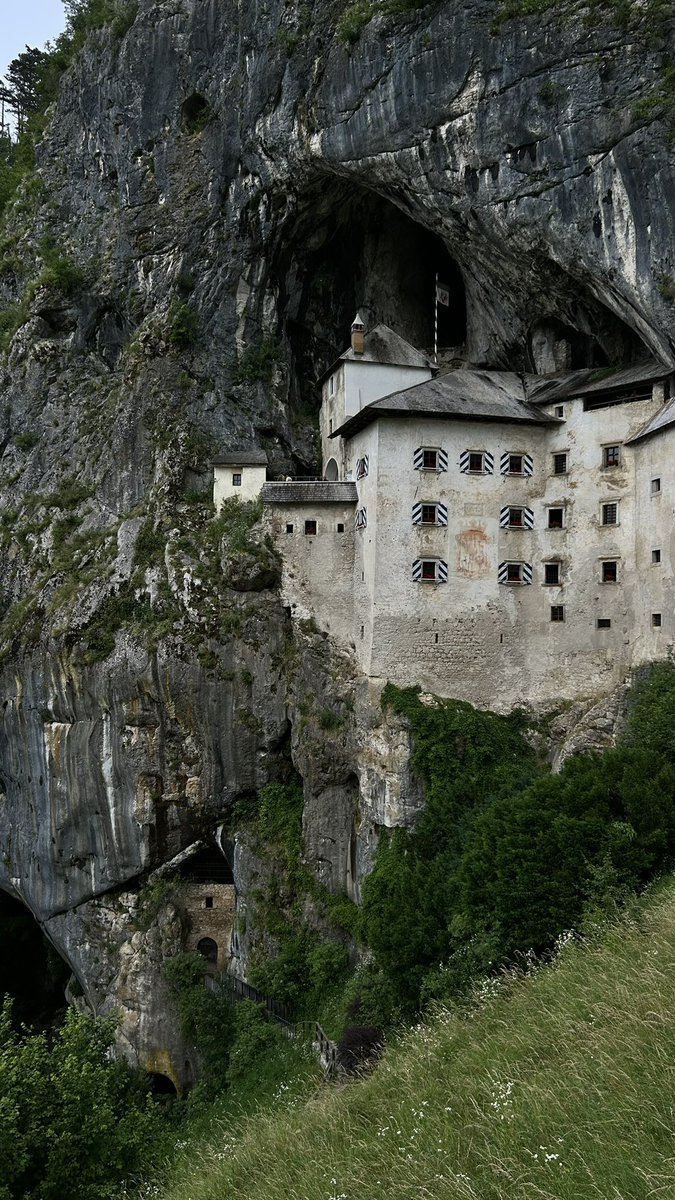 P I 𝕏 3 L tweet media