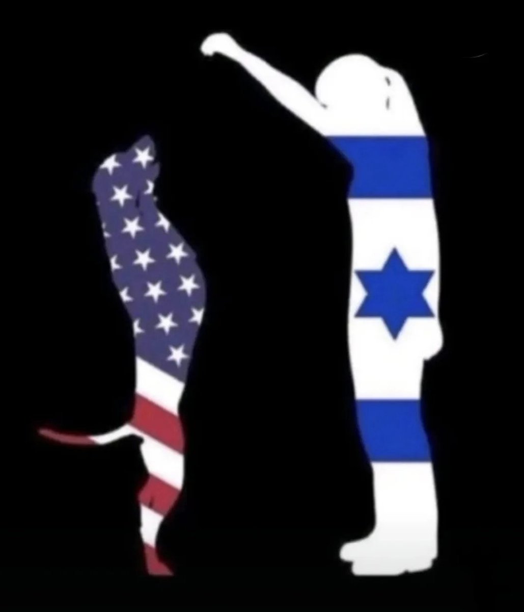 Mahmud Arda tweet media