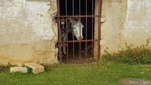 Aquiles que hiciste?..🤭