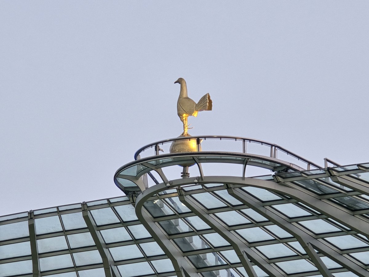 Chris Cowlin tweet media