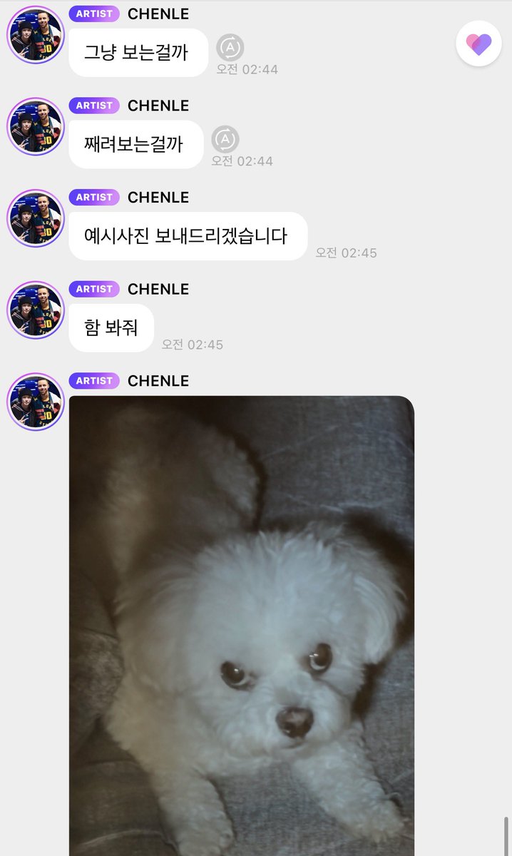 아   시발 강아지가 째려보면 뭐 얼마나 째려보겟어 생각햇는데  아 존나 째리는 중 아