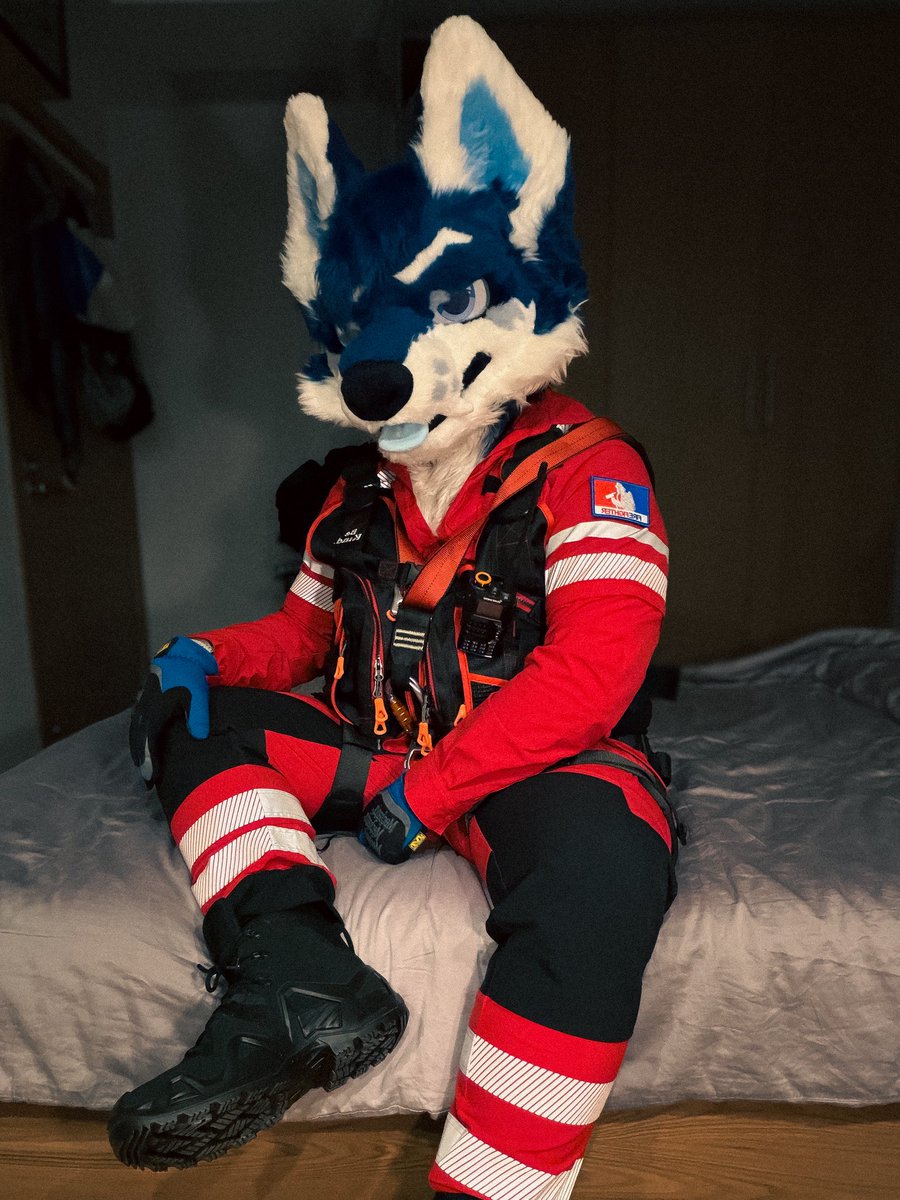 Vald威尔德 tweet media