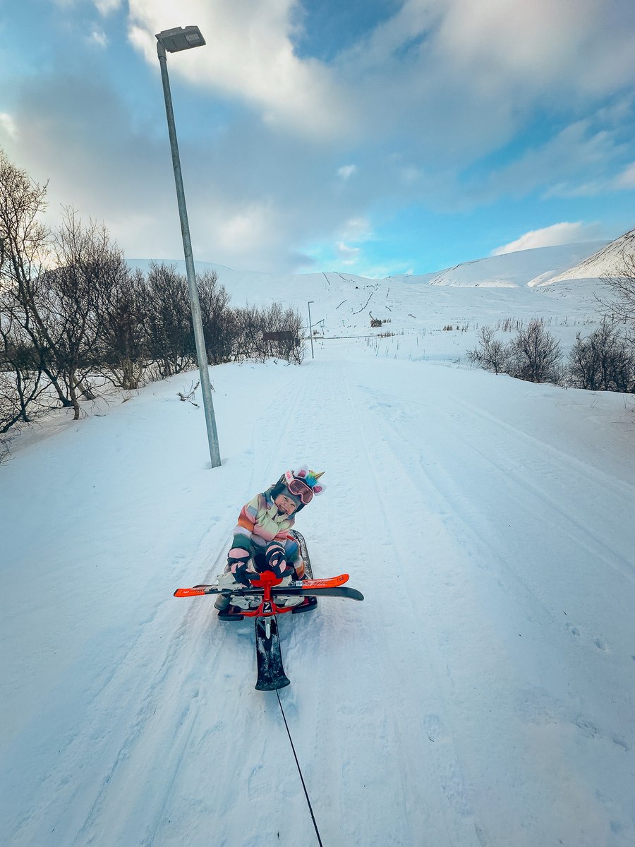 Jóhann Már Kristinsson tweet media