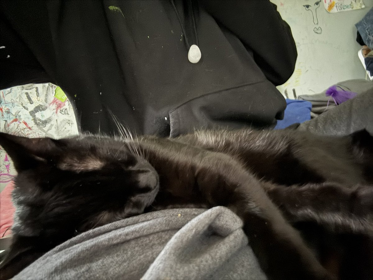 marinegrrl's tweet image. my kittyy #kittycat