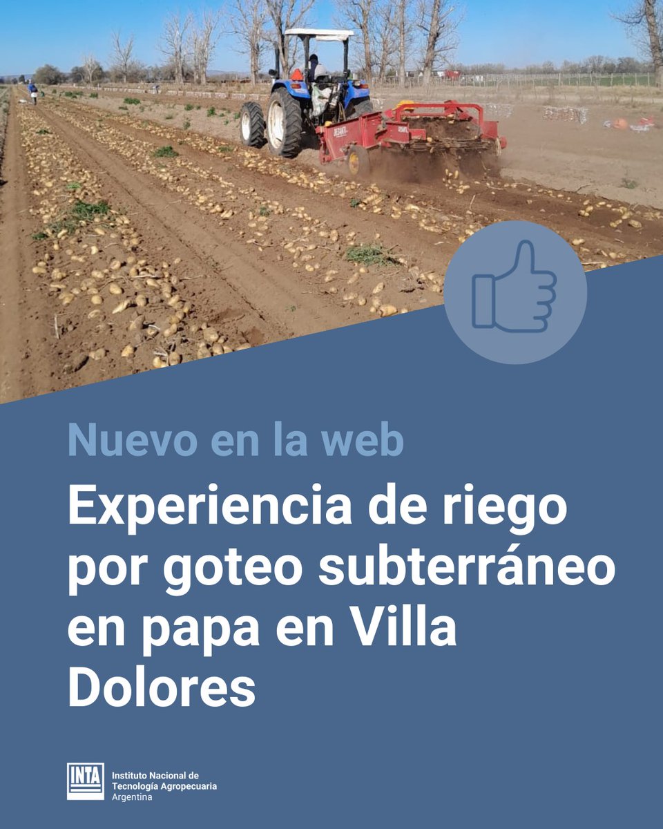 INTA Manfredi tweet media