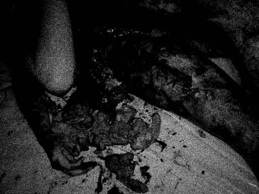 Massacre Video tweet media