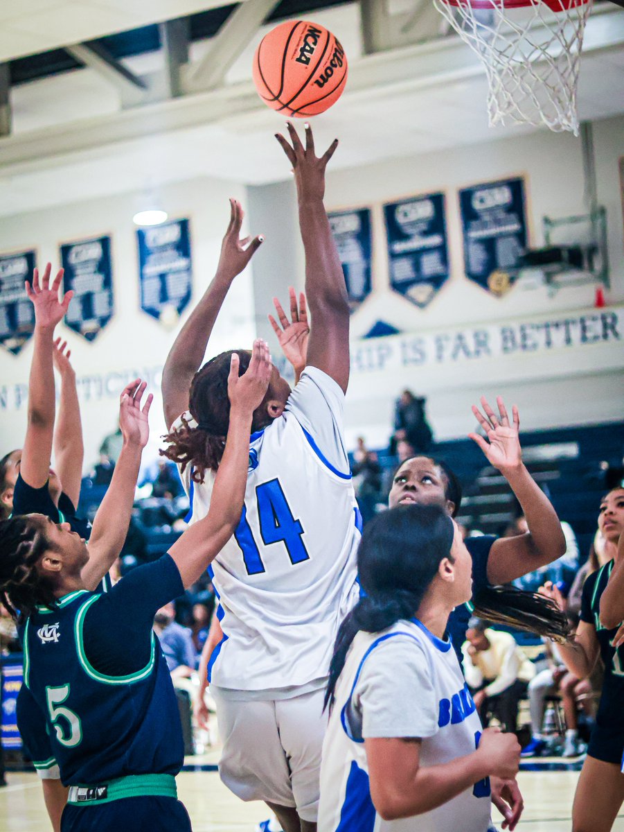 Berkeley College tweet media