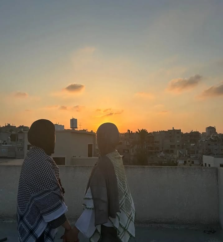 Shahed 🇵🇸 tweet media
