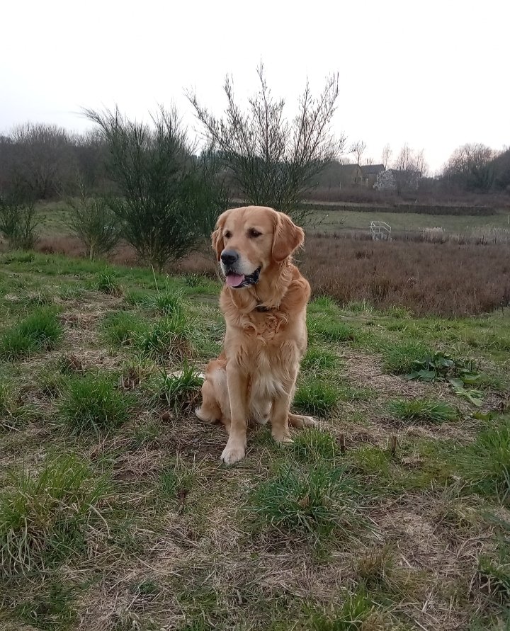 Carlos Shires (@carlosshires) on Twitter photo 