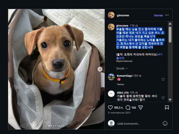HonestDev7 tweet media