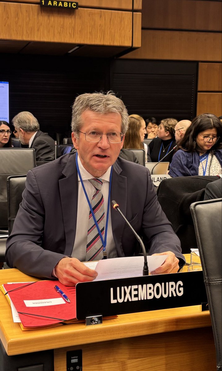 Luxembourg Mission in Vienna 🇱🇺 tweet media