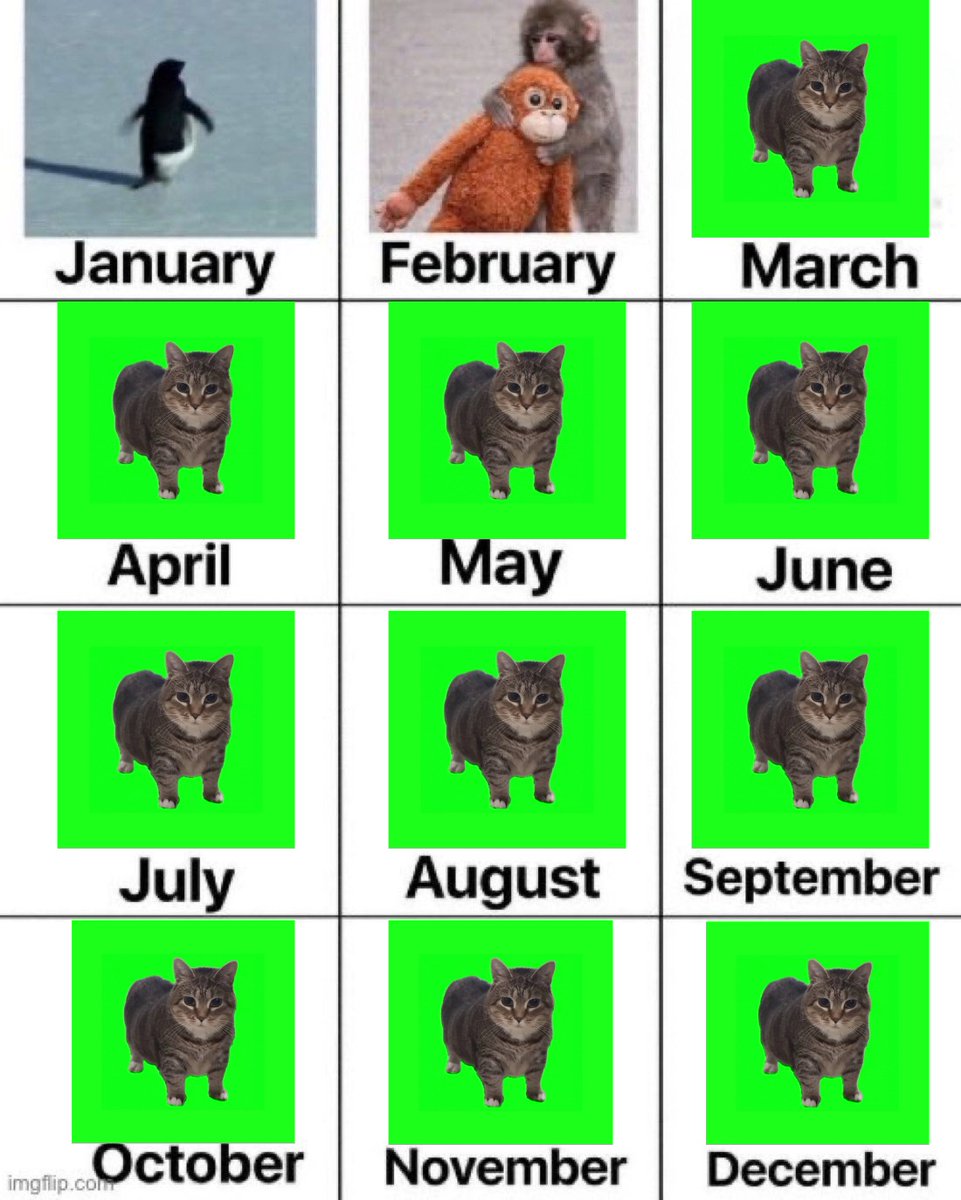 New month new animal! 
oiiaoiia