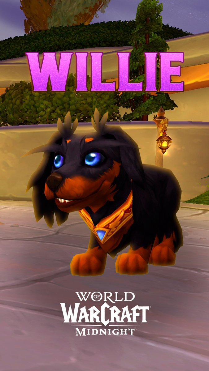 Consigue a WILLIE la mascota - World of Warcraft Midnight 🥰⬇️⬇️ #warcraft #Midnight #Worldofwarcraft 

youtube.com/shorts/vjnhDYi…