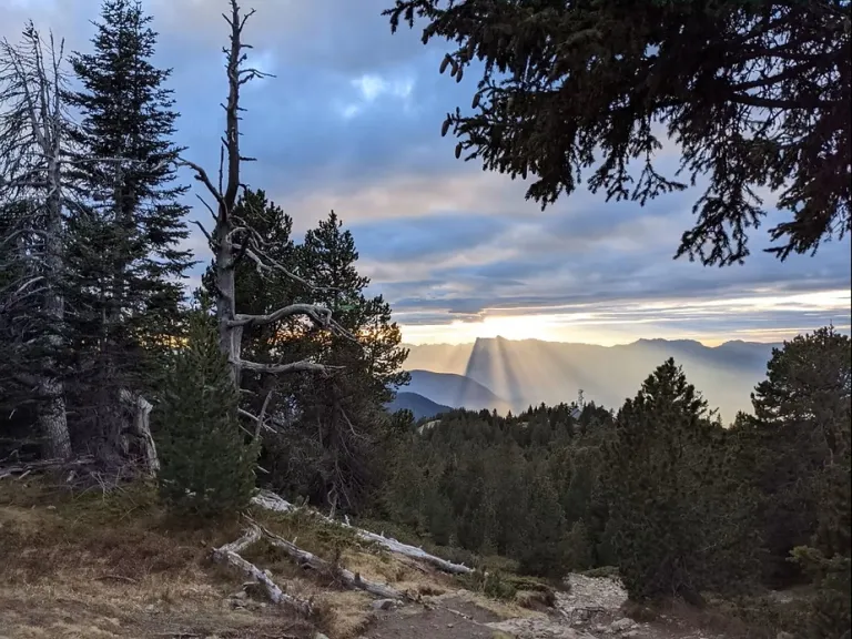 Katerina Sam tweet media