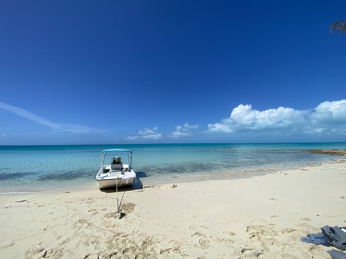 Jacquesjazz45's tweet image. Il faut apprendre à trouver le bonheur dans les petites choses que la vie apporte. #vivre