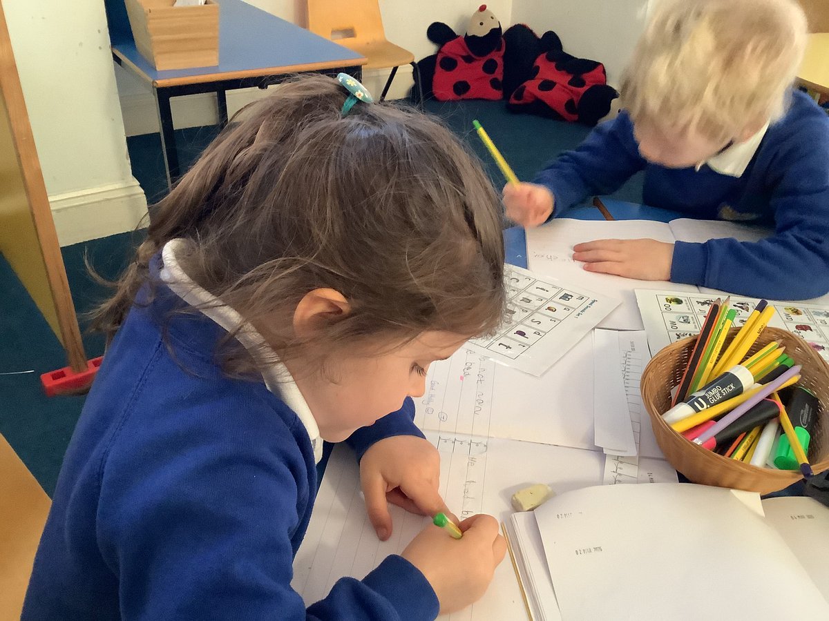 Hedgehogs-SAFontmell-Rec tweet media